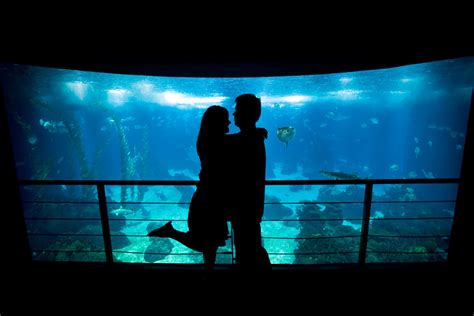 初 デート 水族館 別れる